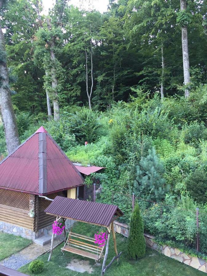 U Lyudmily Villa Karpaty Eksteriør bilde