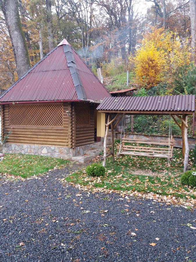 U Lyudmily Villa Karpaty Eksteriør bilde