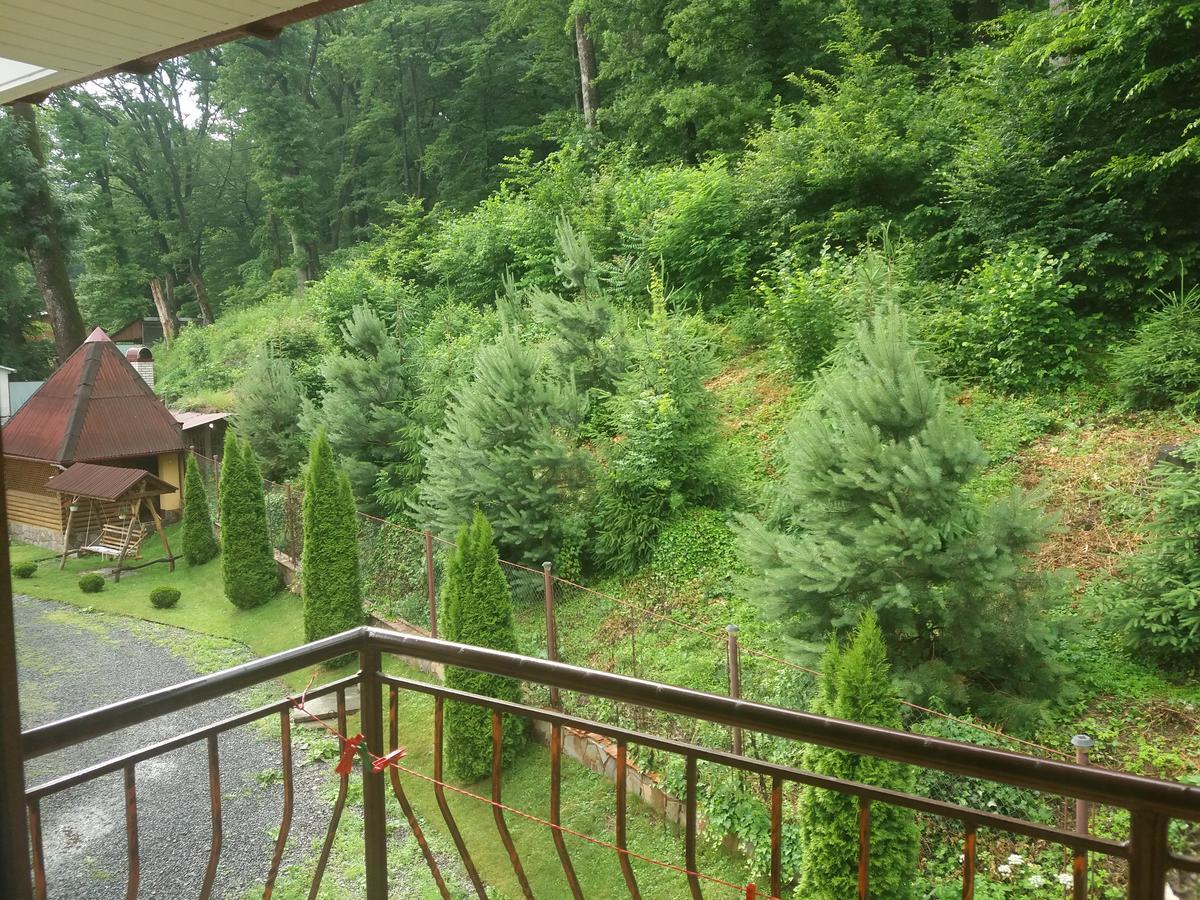U Lyudmily Villa Karpaty Eksteriør bilde