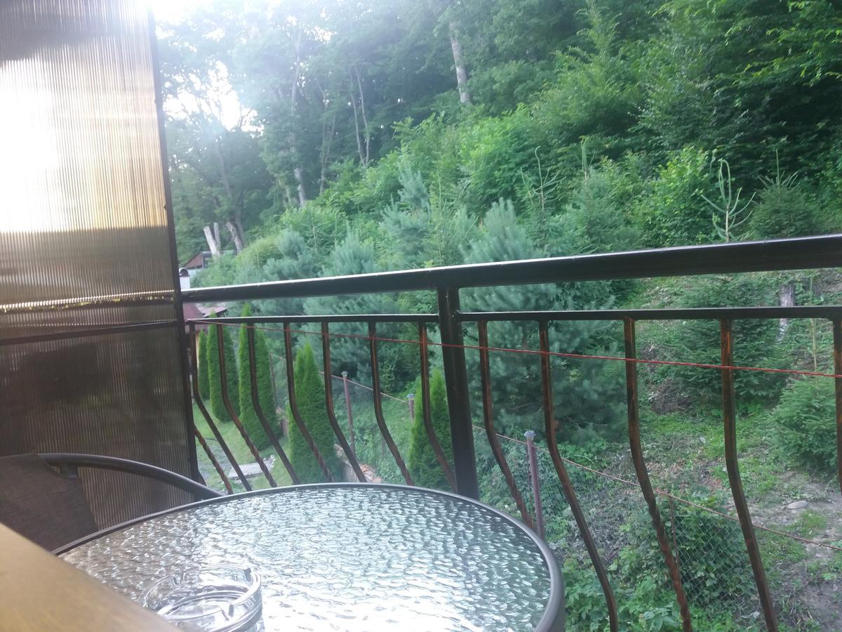 U Lyudmily Villa Karpaty Eksteriør bilde